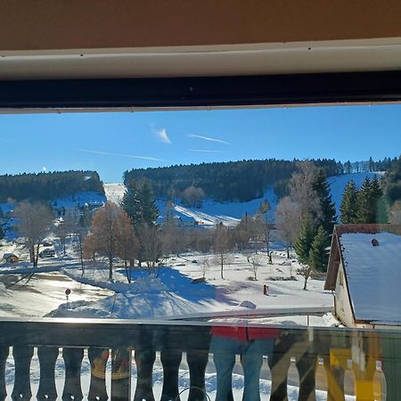 Schoene Ferienwohnung Im Suedschwarzwald Herrischried Ngoại thất bức ảnh